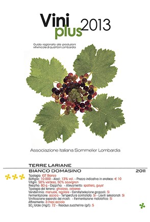 Rosa, Rosati, Ros�